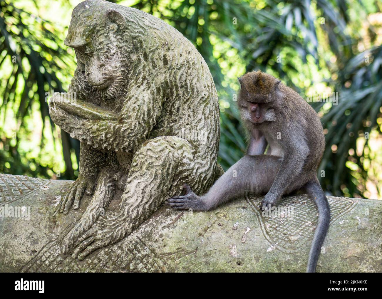 Scimmia profonda nel pensiero e mimare la statua, Ubud, Bali, Indonesia Foto Stock