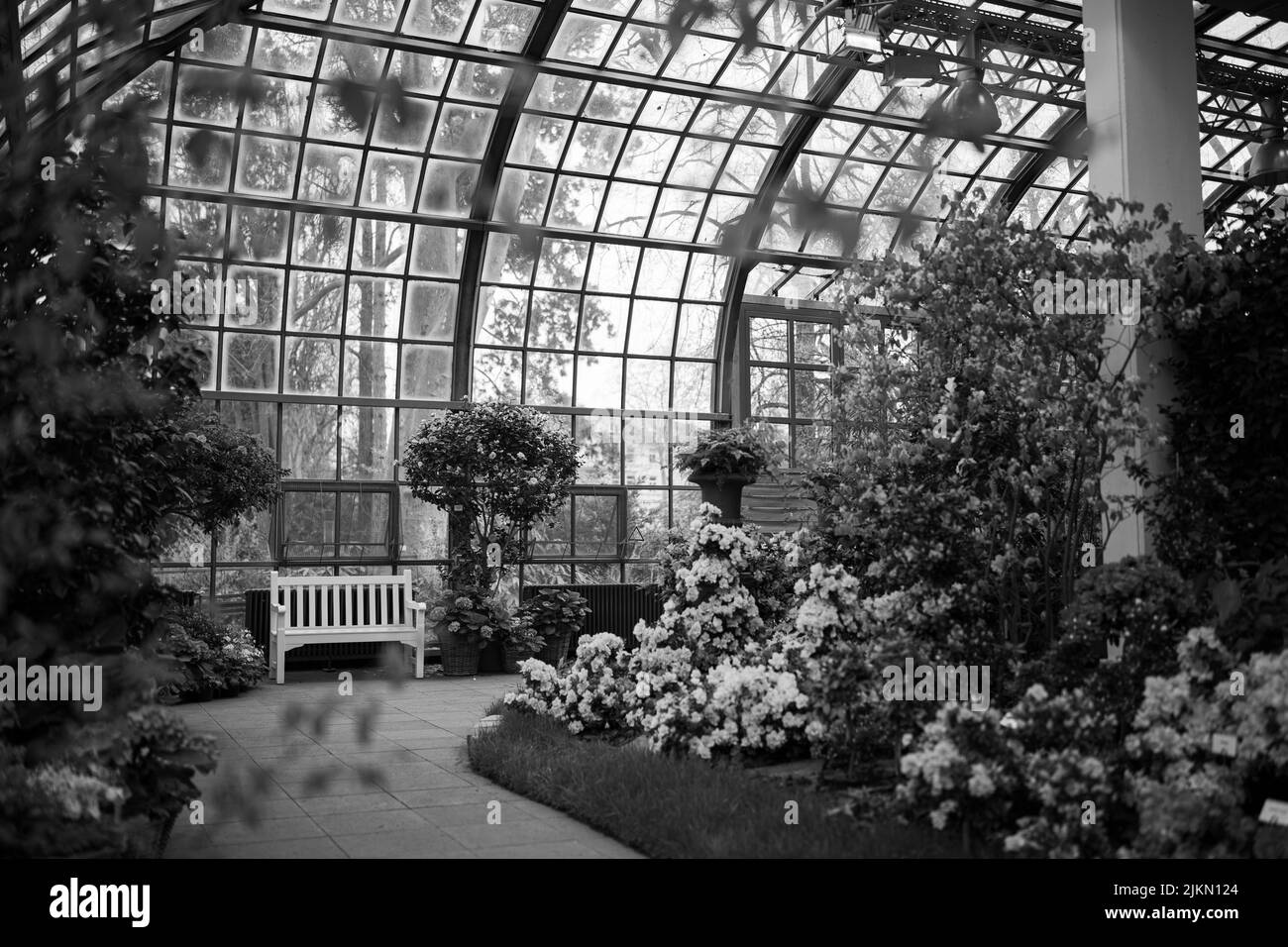 Un colpo in scala di grigi del giardino botanico con fiori e piante Foto Stock