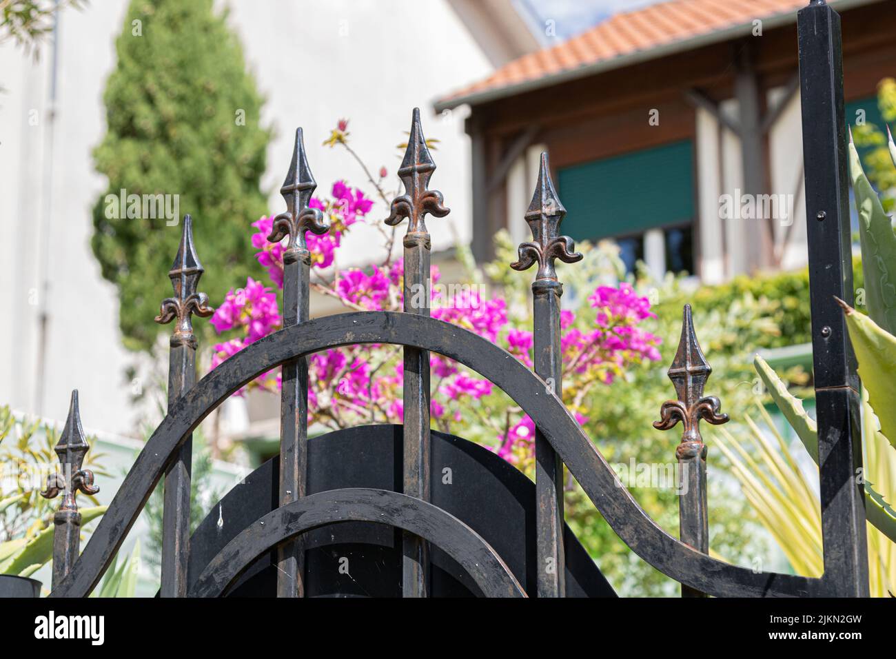 Una vista della bella porta e dei fiori sullo sfondo di fronte a una casa Foto Stock