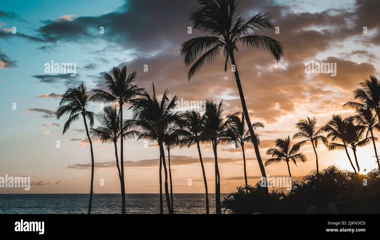 Una vista al tramonto sull'isola tropicale di Maui con palme, Hawaii Foto Stock