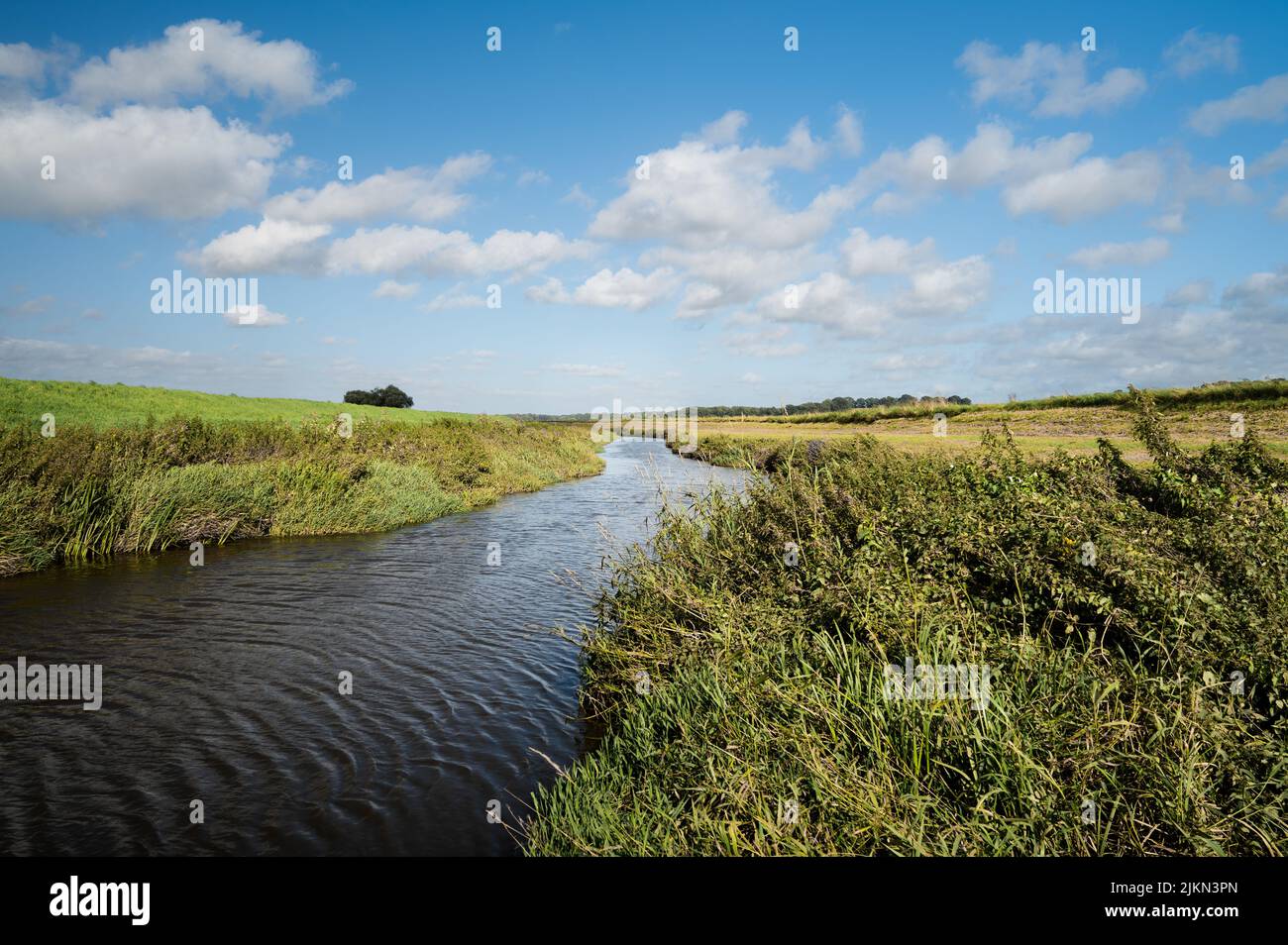Un fiume in un campo rurale soleggiato Foto Stock