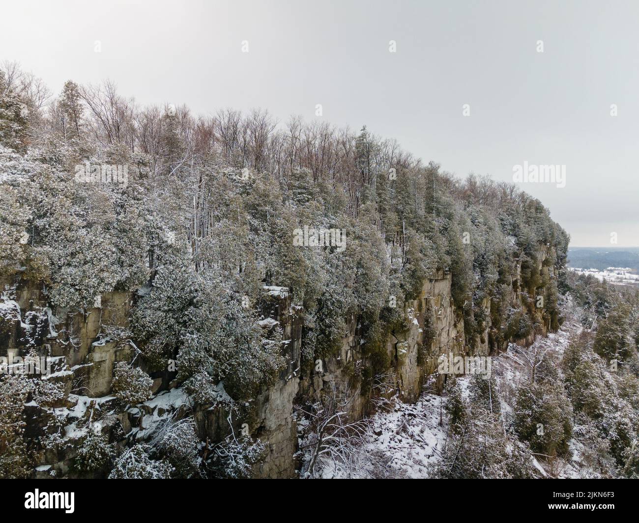 Gli alberi innevati nella Mount Nemo Conservation Area in Ontario, Canada Foto Stock