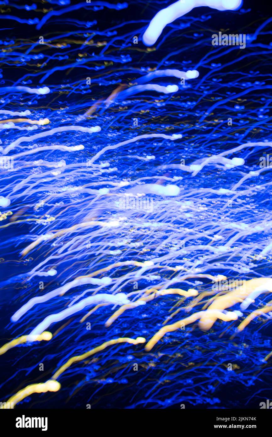 Linee di luce colorate astratte su sfondo nero, arte della luce Foto Stock