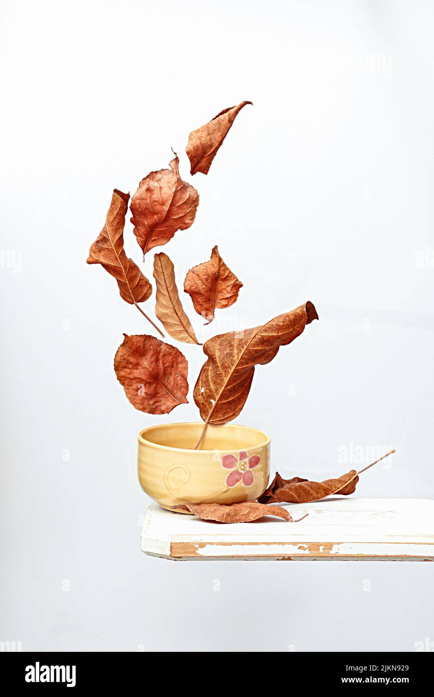 Un colpo verticale di una composizione estetica con foglie secche galleggianti su sfondo bianco Foto Stock