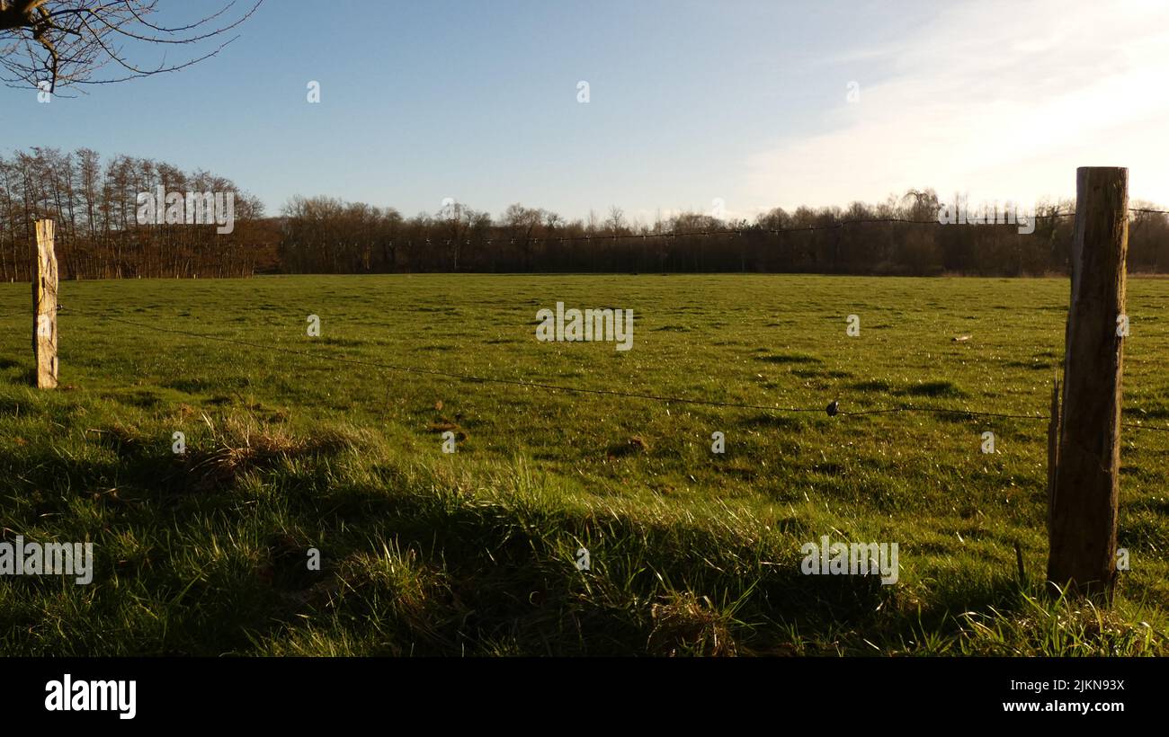 Una vista panoramica di un prato verde attraverso la recinzione metallica con i pali di legno Foto Stock
