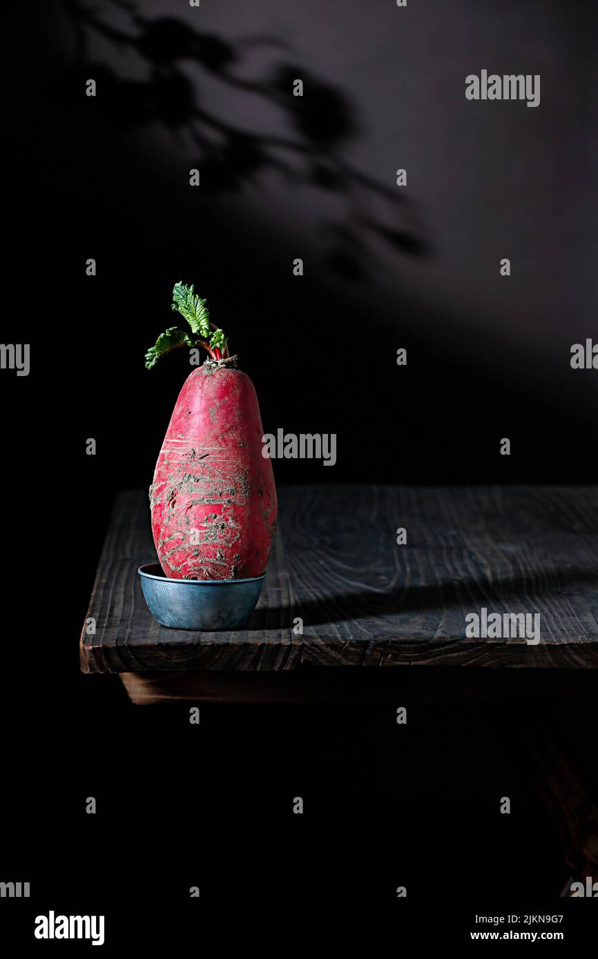 Un primo piano verticale di un singolo ravanello in una piccola ciotola su un tavolo di legno Foto Stock