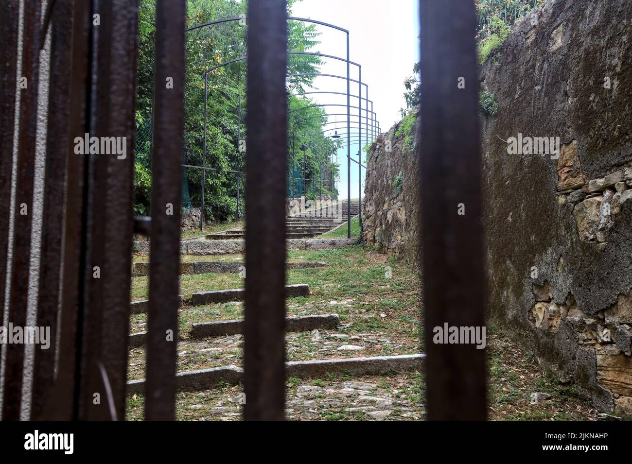 Scala su una collina delimitata da alberi e un muro di pietra visto attraverso una griglia Foto Stock