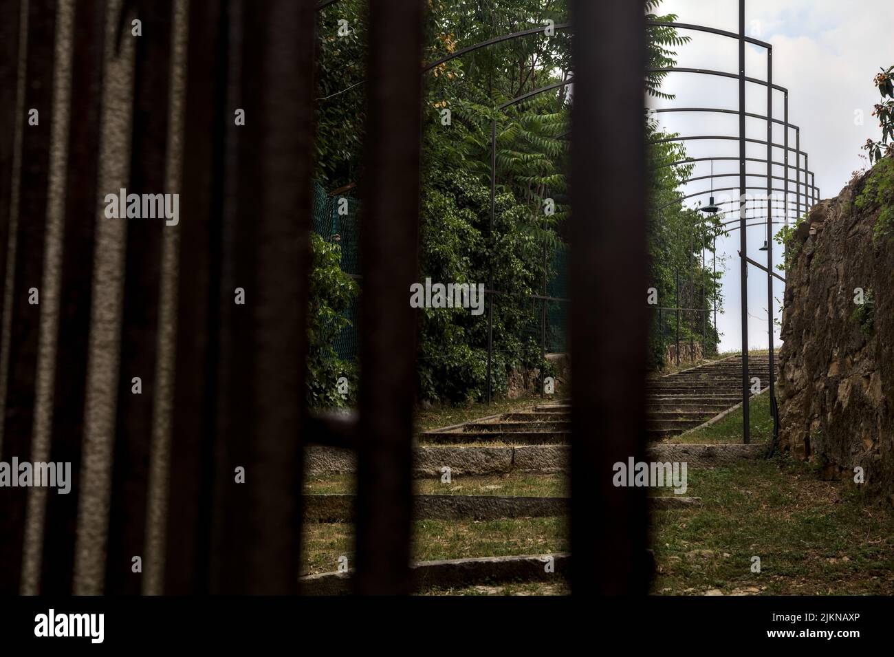 Scala su una collina delimitata da alberi e un muro di pietra visto attraverso una griglia Foto Stock