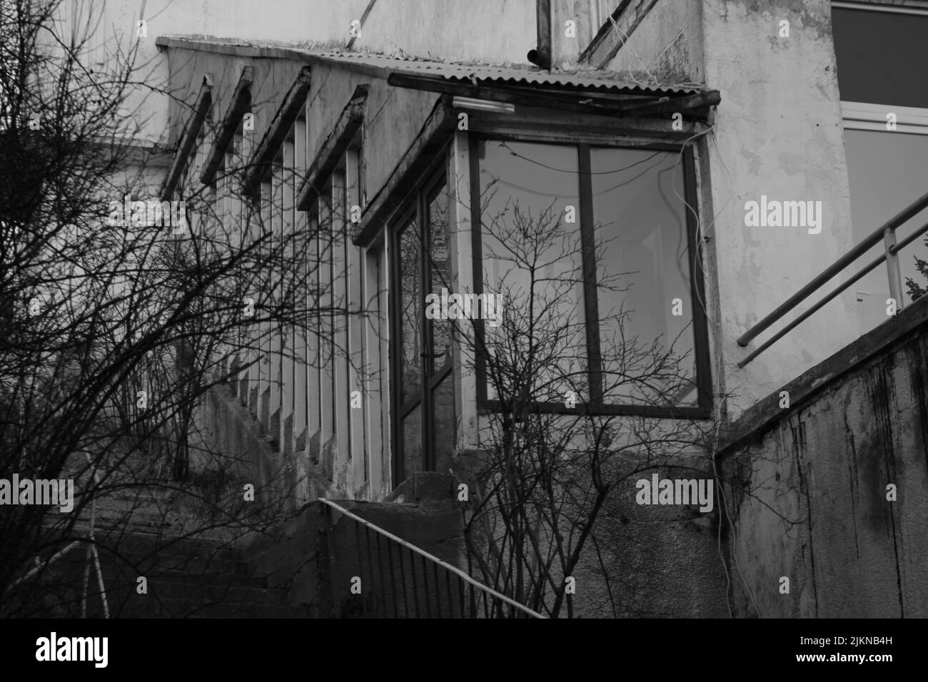 Una foto in scala di grigi di una finestra di vetro sul vecchio edificio con albero senza foglie Foto Stock