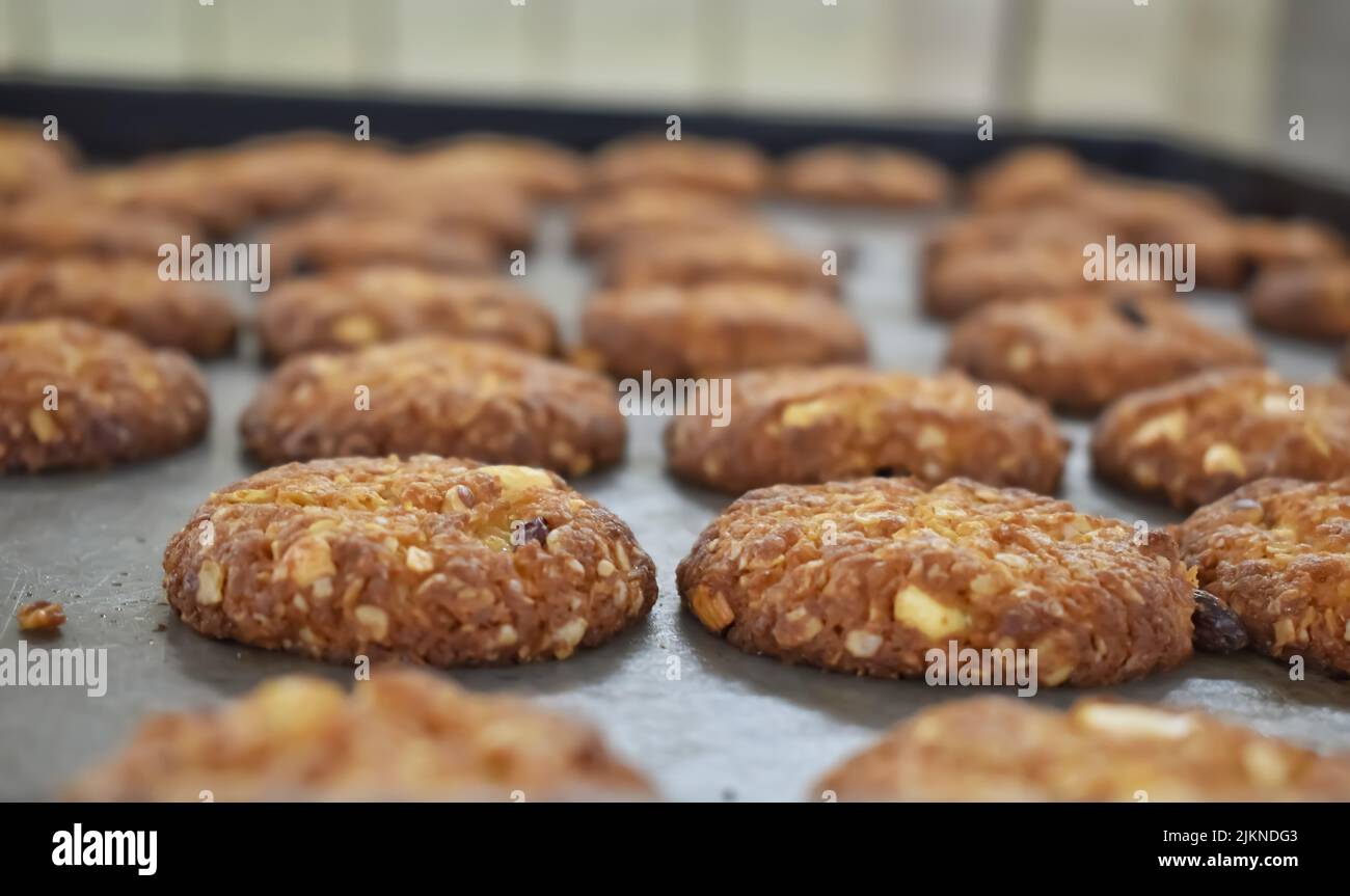 Una vista in primo piano di un biscotto di avena appena fatto nel vassoio della panetteria con sfocatura dello sfondo Foto Stock