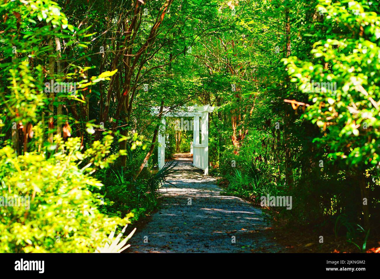 Un sentiero che conduce ad una recinzione di legno bianco nel mezzo di un parco verde Foto Stock