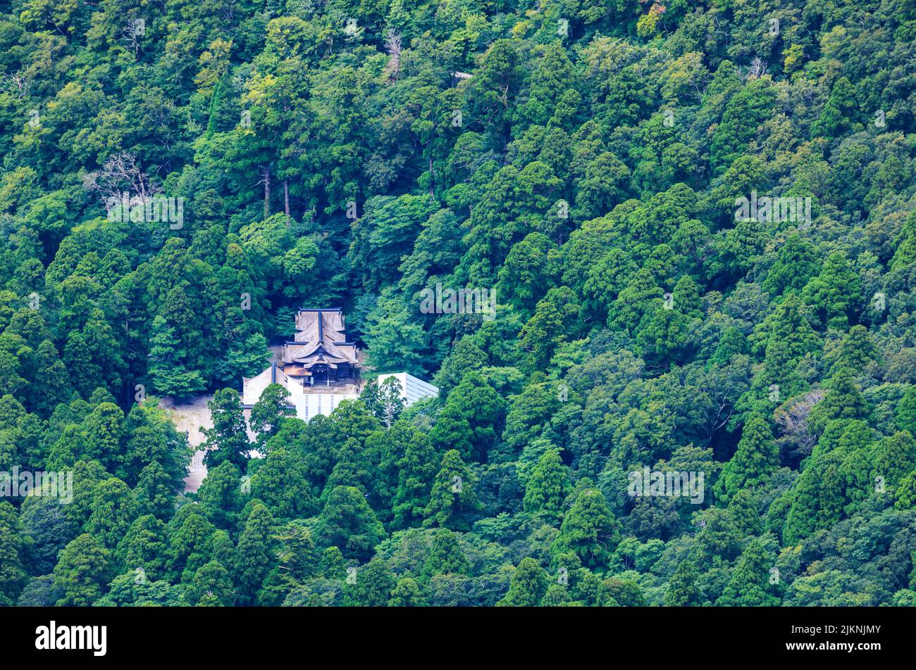 Vista dall'alto del Tempio Daisen nella radura circondata da una foresta verde Foto Stock