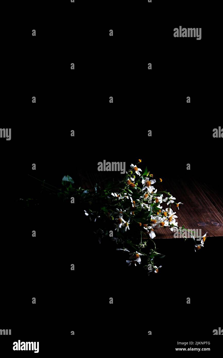 Un primo piano verticale di fiori giacenti su un tavolo di legno su uno sfondo scuro Foto Stock