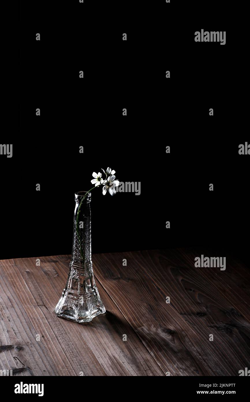 Primo piano verticale di un vaso di fiori trasparente su un tavolo di legno su sfondo scuro Foto Stock