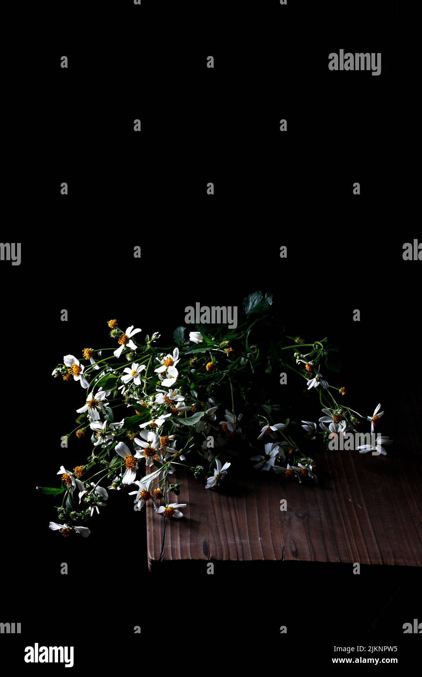 Un primo piano verticale di fiori giacenti su un tavolo di legno su uno sfondo scuro Foto Stock