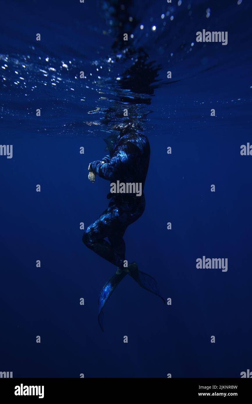 Una vista verticale di una persona in tuta subacquea che esplora il mondo sottomarino Foto Stock