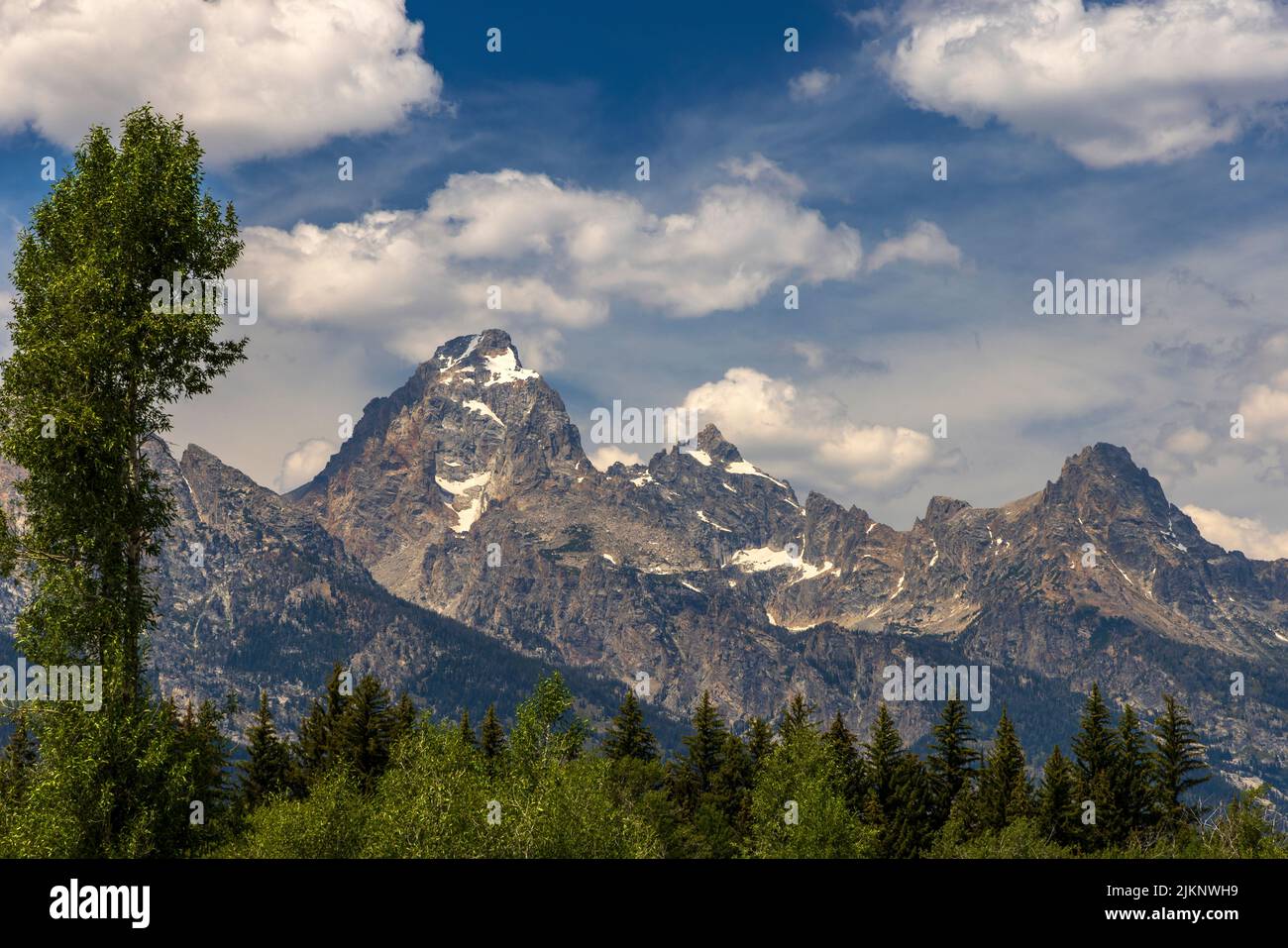 Grand Teton Peak (a sinistra del centro) e la Teton Range il giorno di luglio nella zona di Moose del Grand Teton National Park, Wyoming, USA. Foto Stock