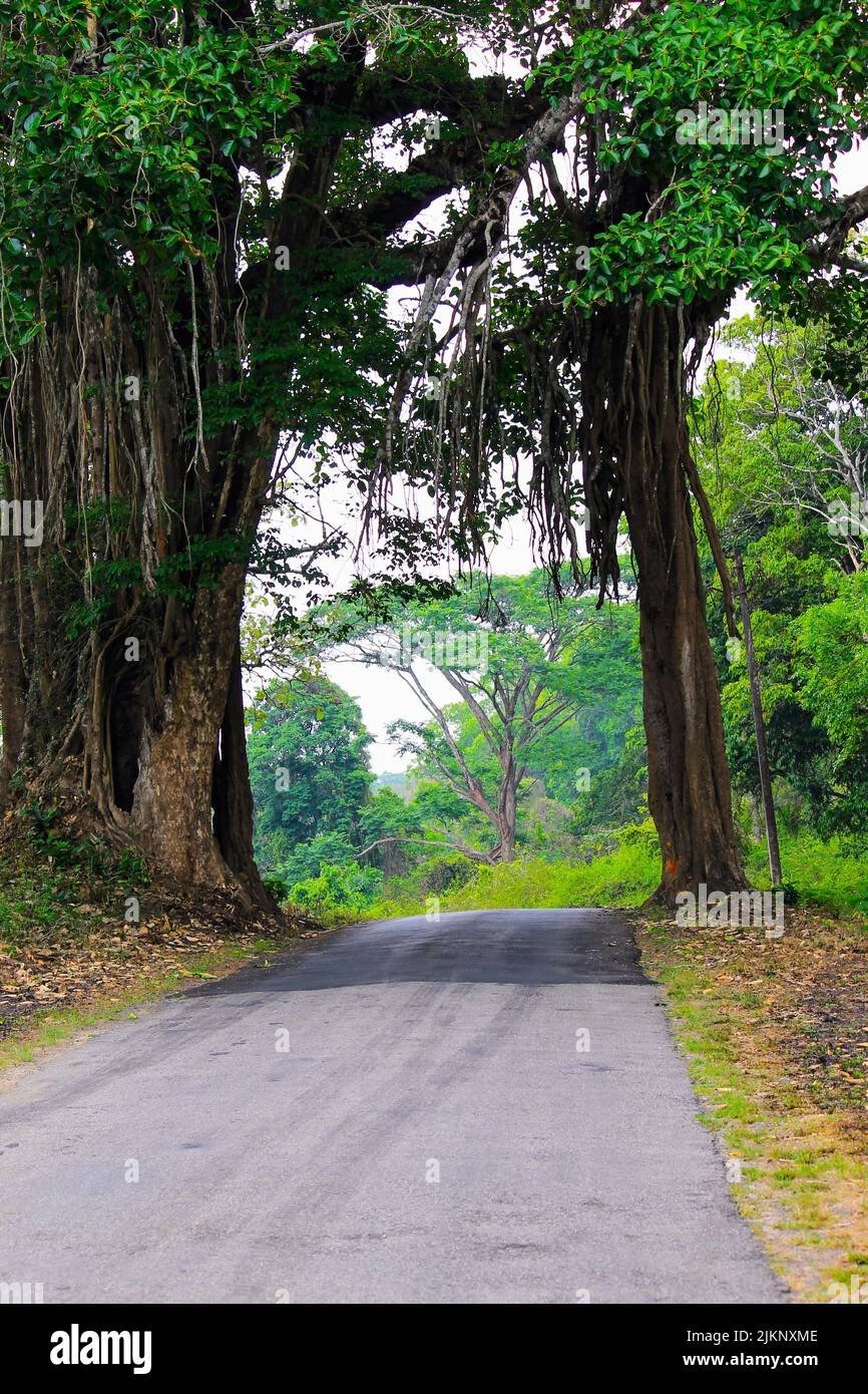 la natura è così bella e sorprendente Foto Stock