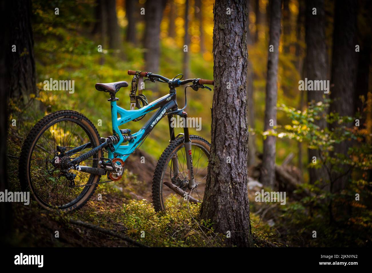 Un primo piano di una bicicletta blu in una foresta Foto Stock