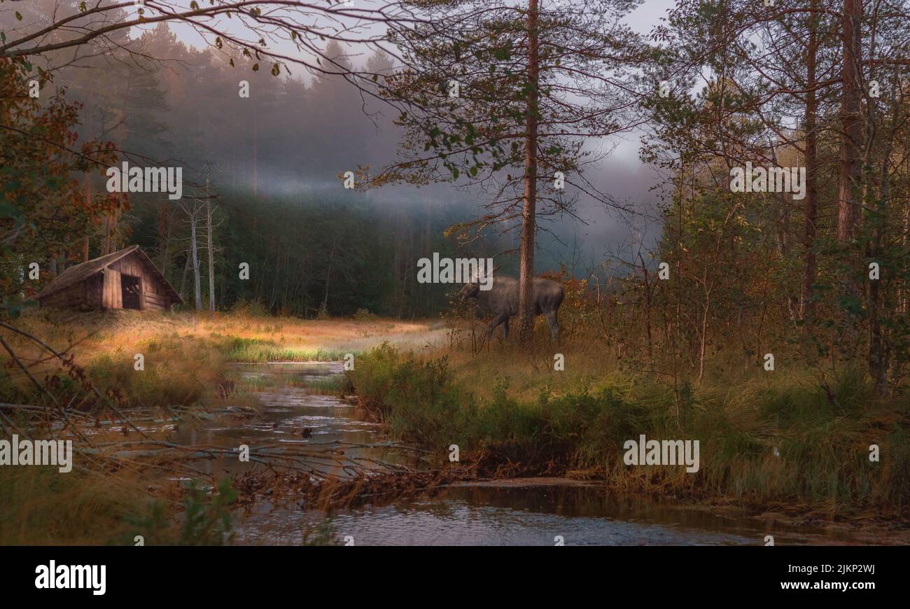 Scena forestale con un piccolo fiume, un'alce e una piccola capanna di legno in stile fiabesco Foto Stock