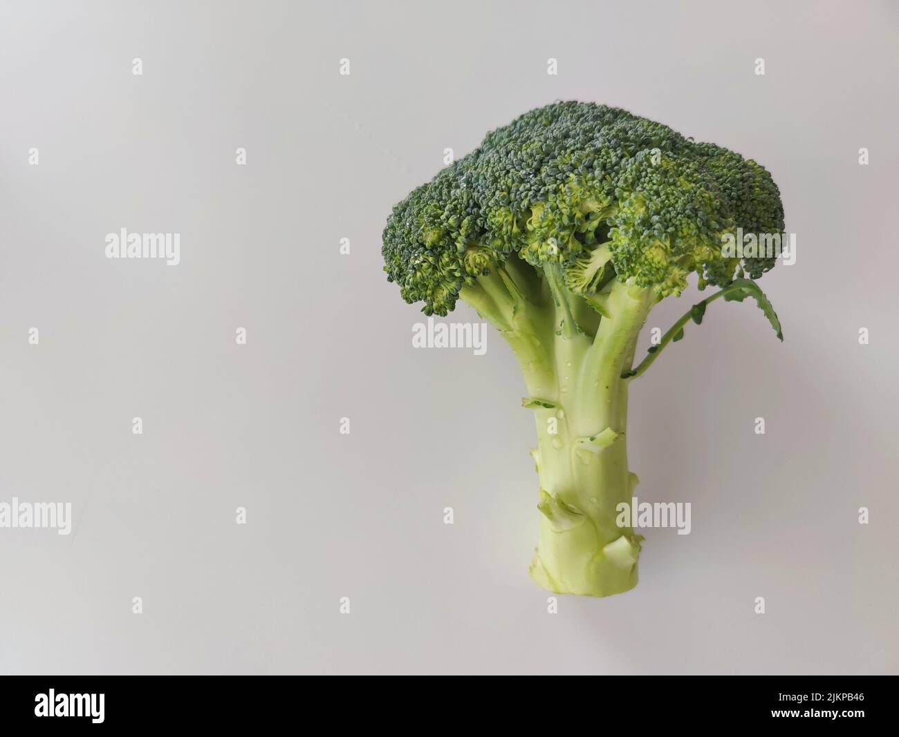 Un primo piano di broccoli su sfondo grigio Foto Stock
