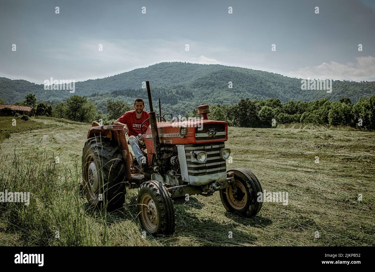 Massey - Ferguson 165 trattore. rosso. Contadino aratura campo. Medio