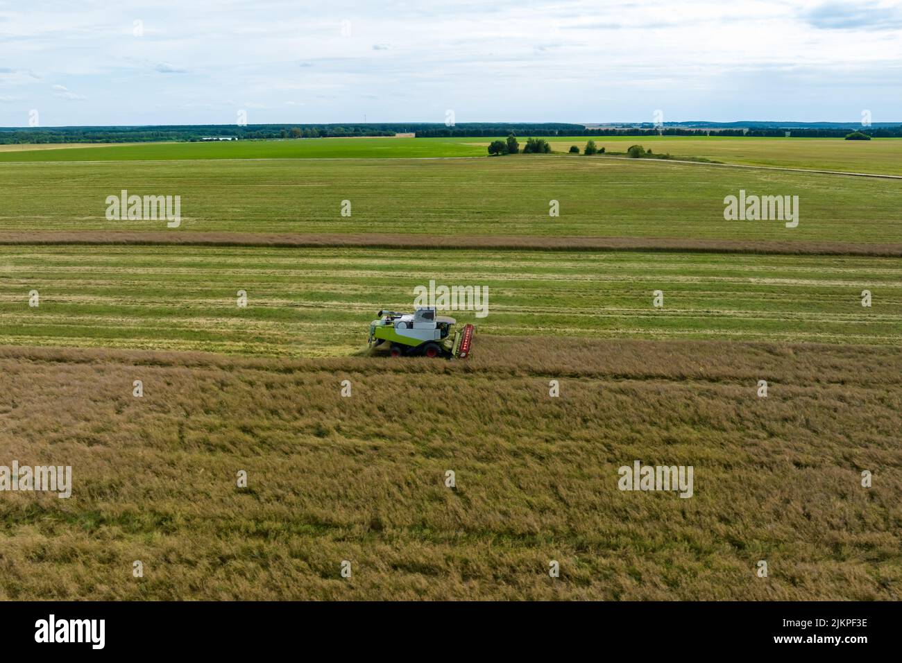 vista aerea sulle moderne macchine pesanti rimuovere il pane di grano maturo nel campo. Lavoro agricolo stagionale Foto Stock