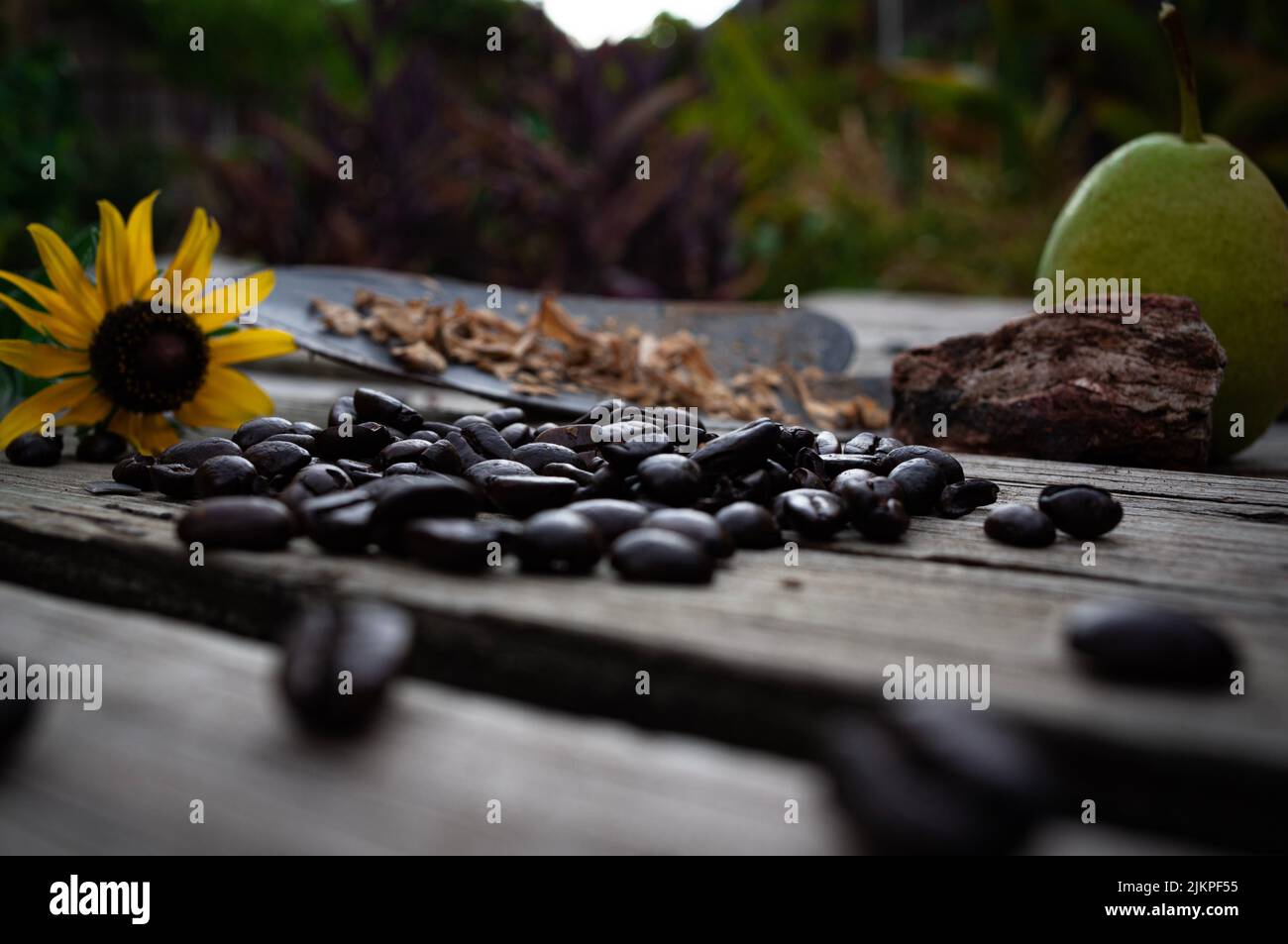 Bella foto di oggetti giardino cortile con chicchi di caffè! Foto Stock