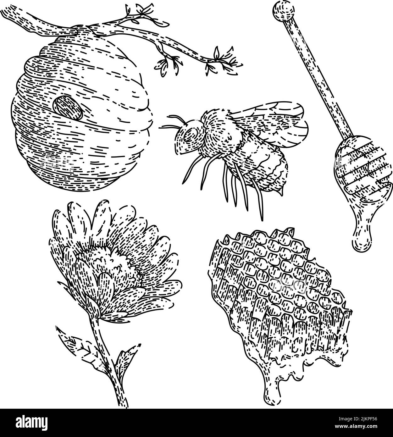 miele ape set schizzo disegnato a mano vettore Illustrazione Vettoriale