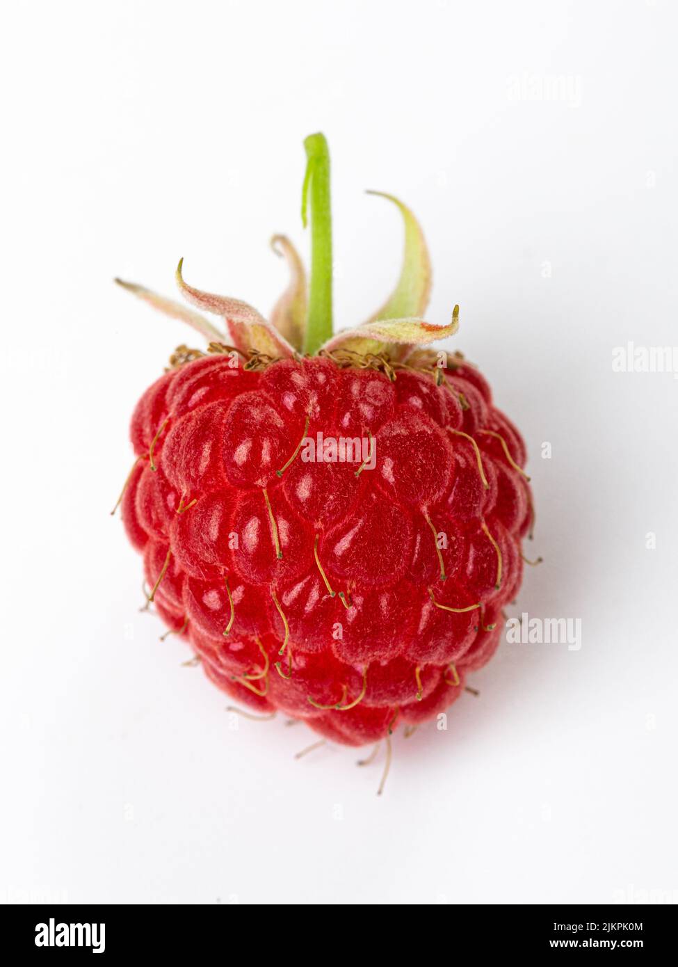 Un lampone maturo di bacche con foglie isolate su sfondo bianco Foto Stock
