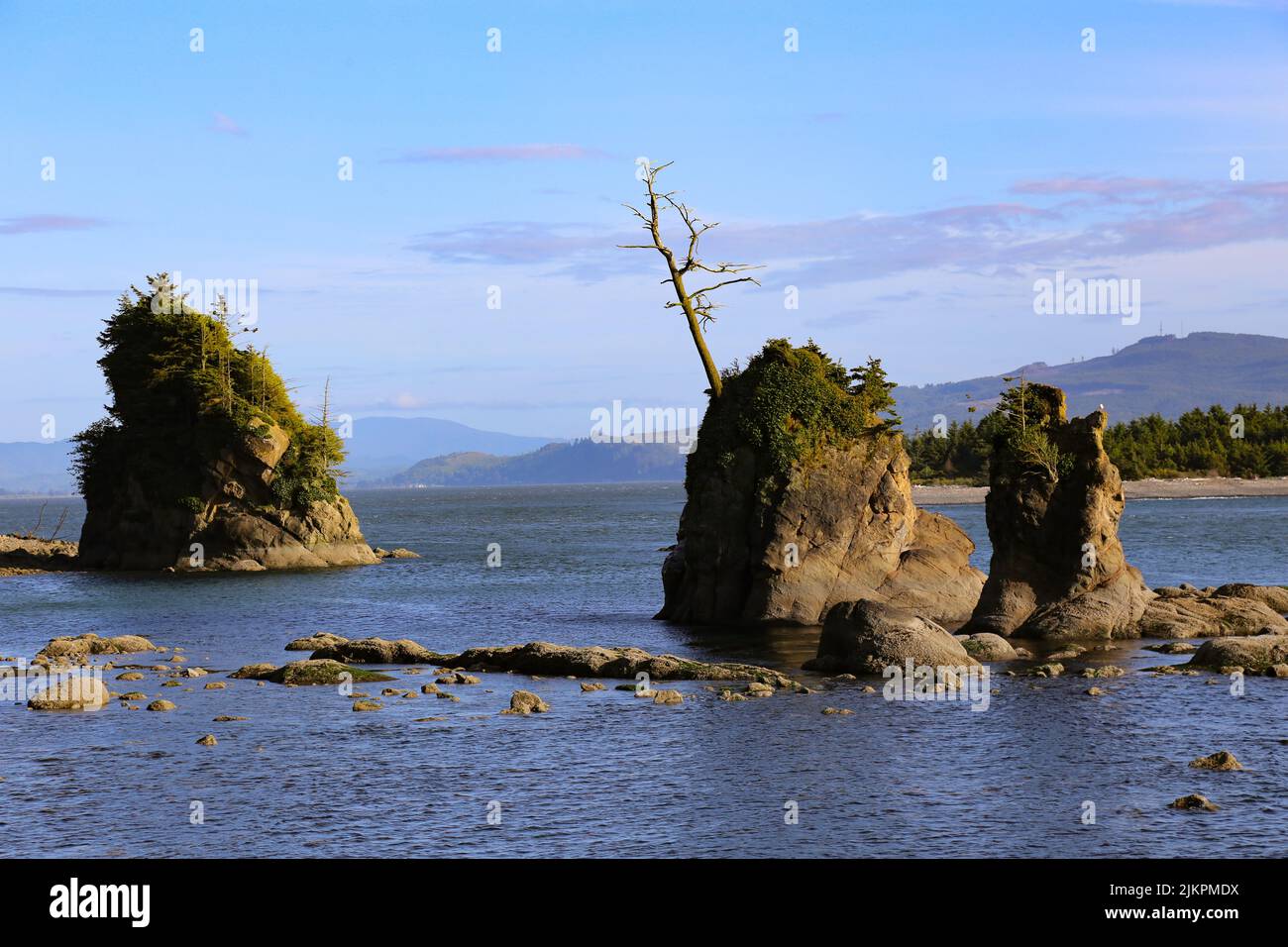 Rocce peculiari a Tillamook Bay, costa dell'Oregon, Stati Uniti Foto Stock