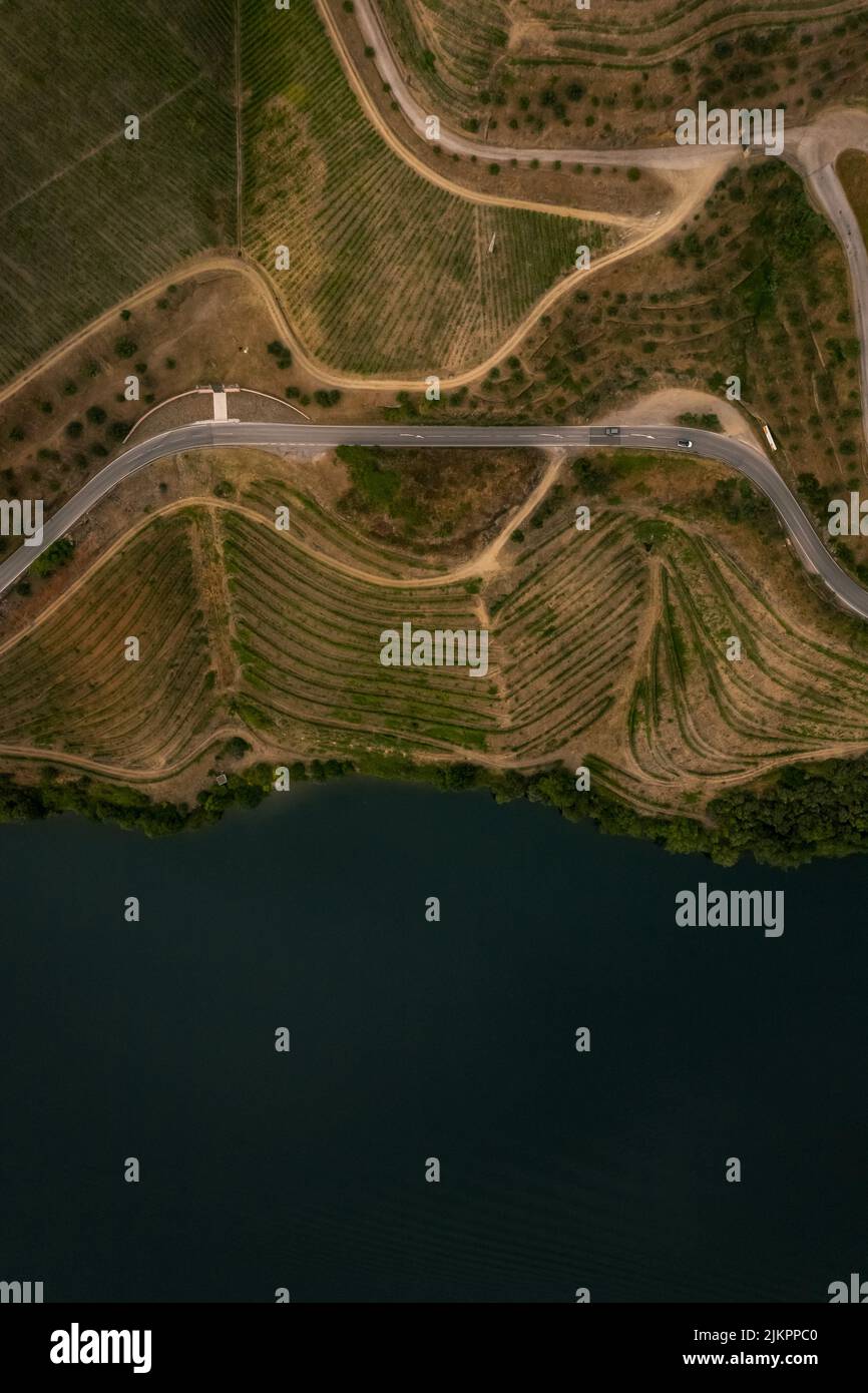 La vista aerea dei vigneti terrazzati nella Valle del Douro, Portogallo. Foto Stock
