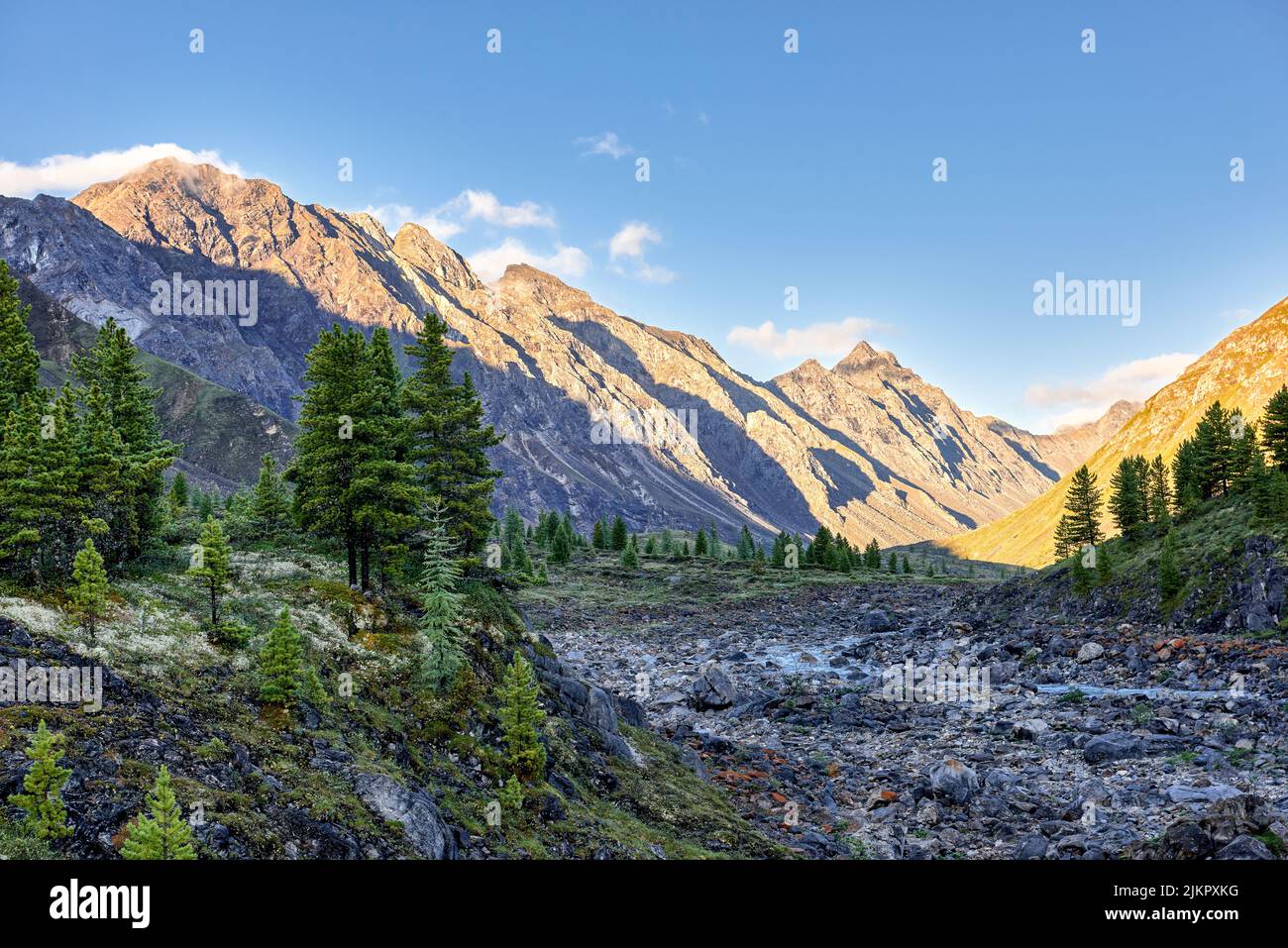 Mattina presto di luglio nelle montagne Siberiane. Fiume di montagna in un ampio canale di pietra. Sayan orientale. Russia Foto Stock