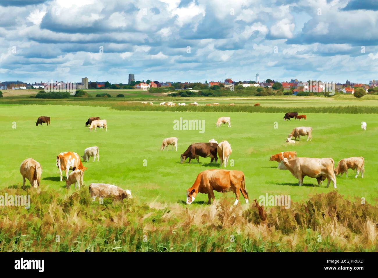 Mucche nei prati, con la città di Southwold sullo sfondo. Foto Stock