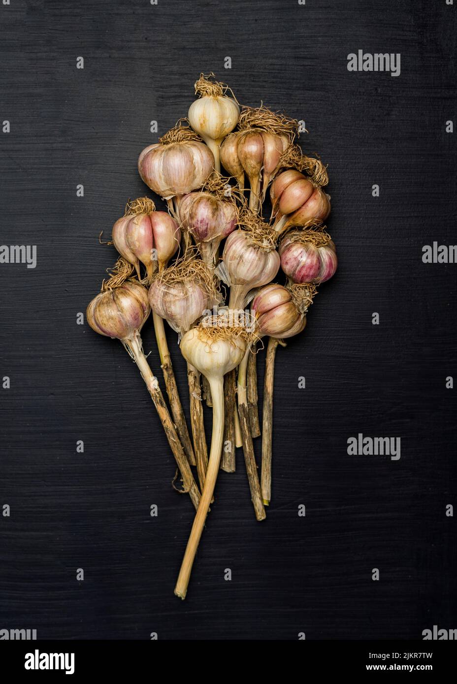 Bulbi di aglio fresco con gambi Foto Stock