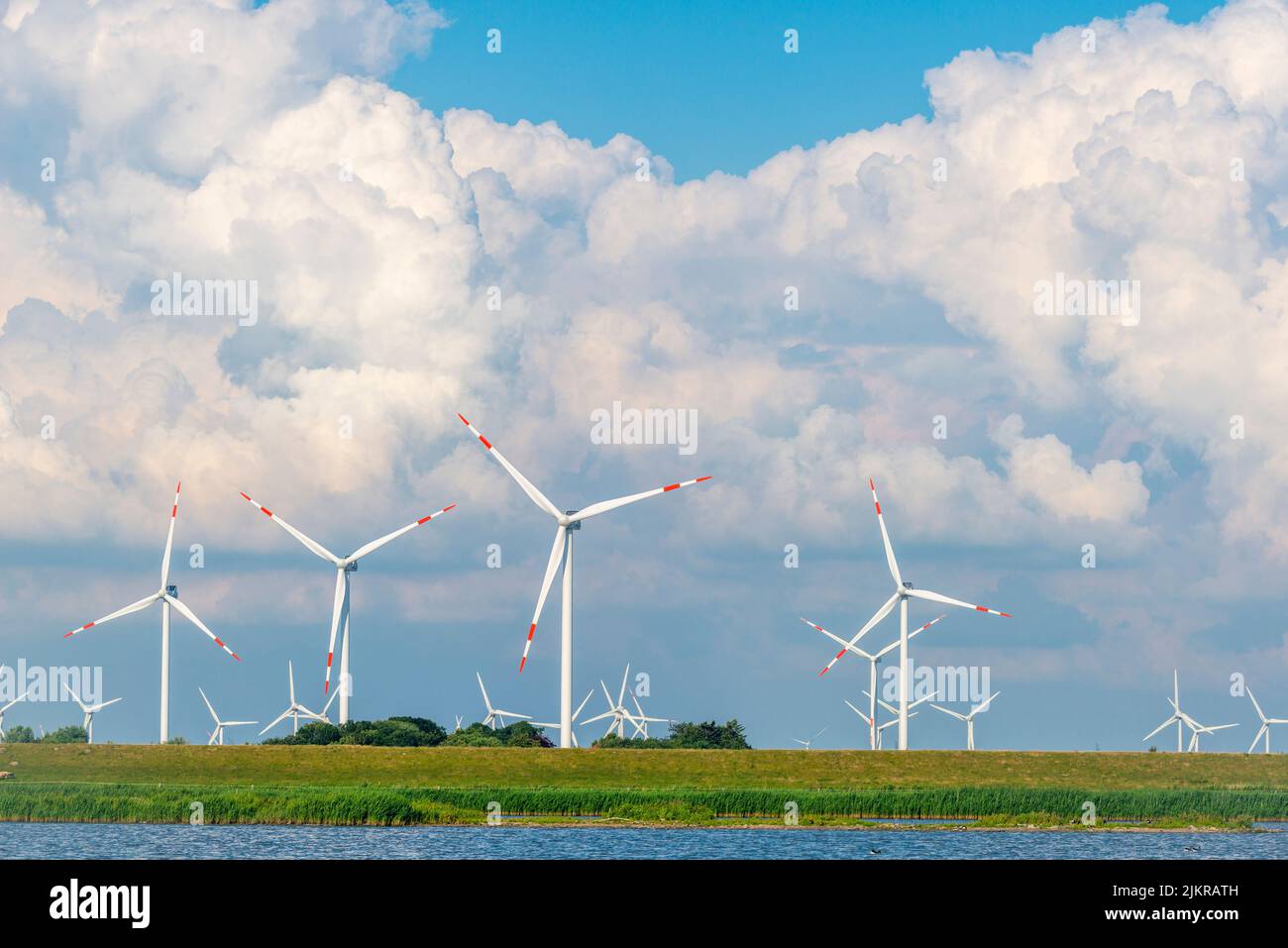 Centrale eolica nelle paludi di Reußenköge, Frisia settentrionale, Mare del Nord, Schleswig-Holstein, Germania settentrionale, Foto Stock