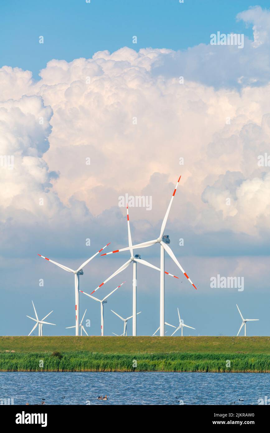 Centrale eolica nelle paludi di Reußenköge, Frisia settentrionale, Mare del Nord, Schleswig-Holstein, Germania settentrionale, Foto Stock