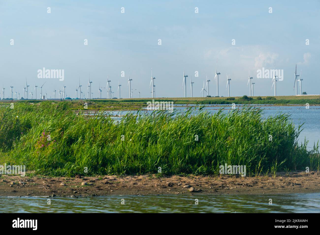 Centrale eolica nelle paludi di Reußenköge, Frisia settentrionale, Mare del Nord, Schleswig-Holstein, Germania settentrionale, Foto Stock