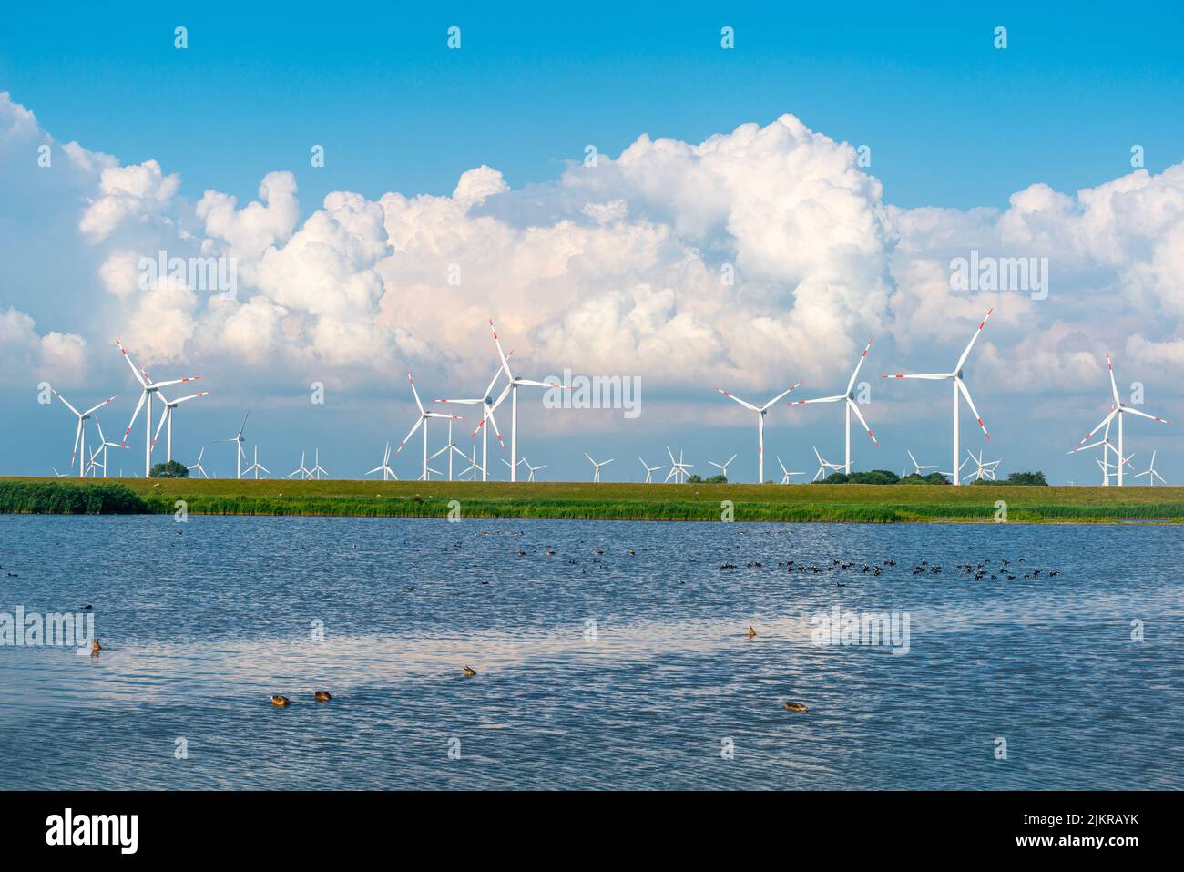 Centrale eolica nelle paludi di Reußenköge, Frisia settentrionale, Mare del Nord, Schleswig-Holstein, Germania settentrionale, Foto Stock