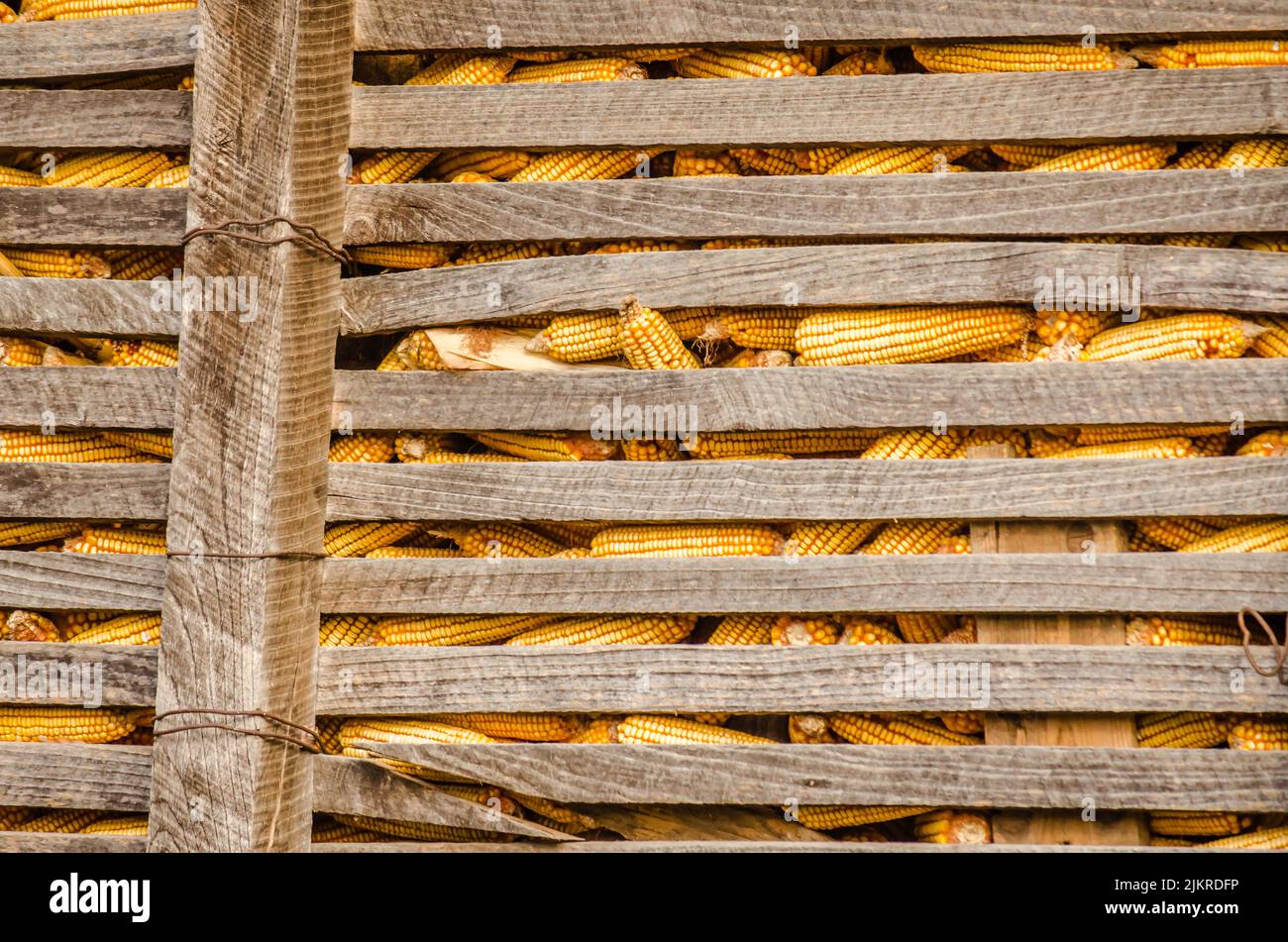 Granaio rurale tradizionale in un'Europa . Rustico granaio di legno in fattoria, vista closeup, scena rurale. Foto Stock