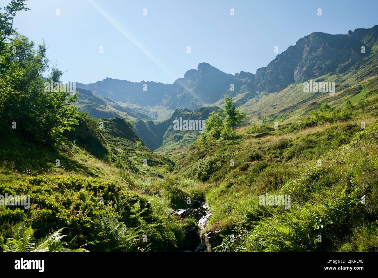 Un fiume / ruscello che corre giù la montagna a Pic du Cabaliros, Parco Nazionale dei Pirenei. Dipartimento degli alti Pirenei , regione dell'Occitanie, Francia. Picco. Colline. Foto Stock