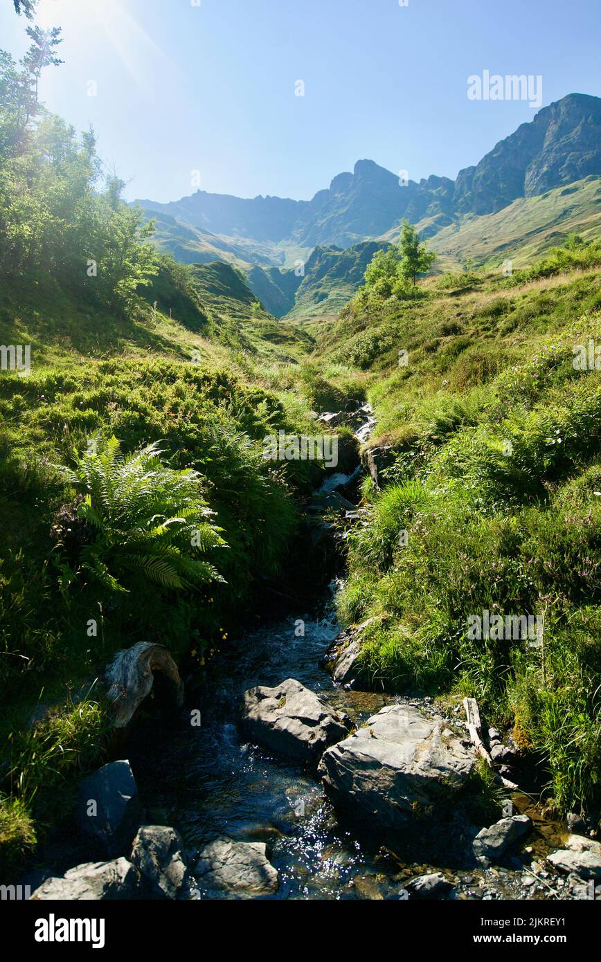 Un fiume / ruscello che corre giù la montagna a Pic du Cabaliros, Parco Nazionale dei Pirenei. Dipartimento degli alti Pirenei , regione dell'Occitanie, Francia. Picco. Colline. Foto Stock