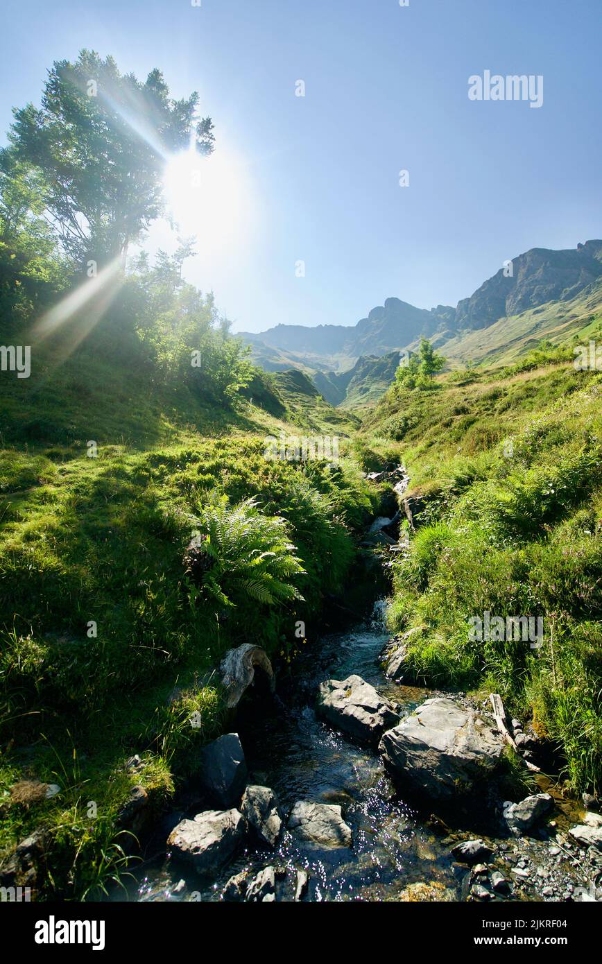 Un fiume / ruscello che corre giù la montagna a Pic du Cabaliros, Parco Nazionale dei Pirenei. Dipartimento degli alti Pirenei , regione dell'Occitanie, Francia. Picco. Colline. Foto Stock