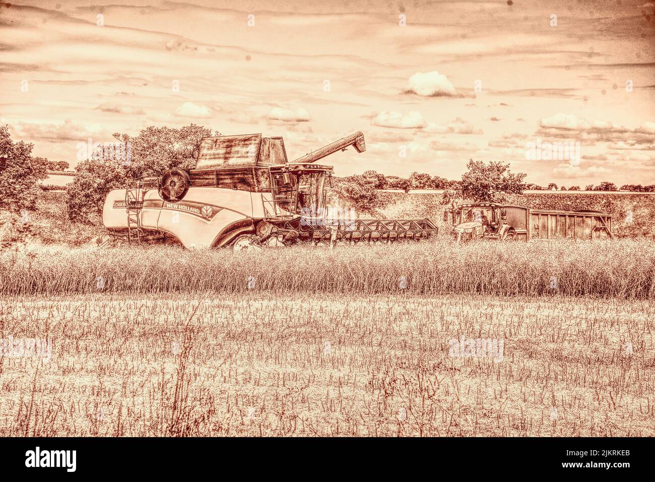 Mietitrebbia New Holland Foto Stock