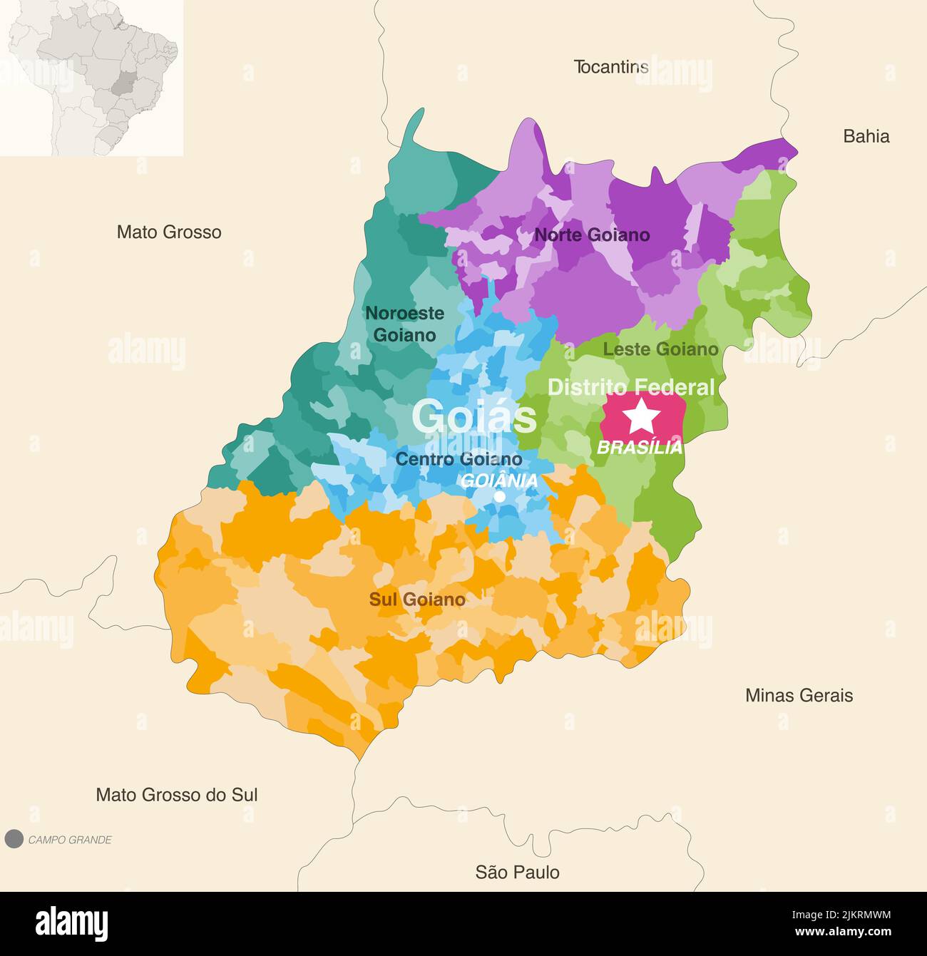 Brasile stati Goias e Distrito carta amministrativa federale che mostra i comuni colorati per regioni di stato (mesoregioni) Illustrazione Vettoriale