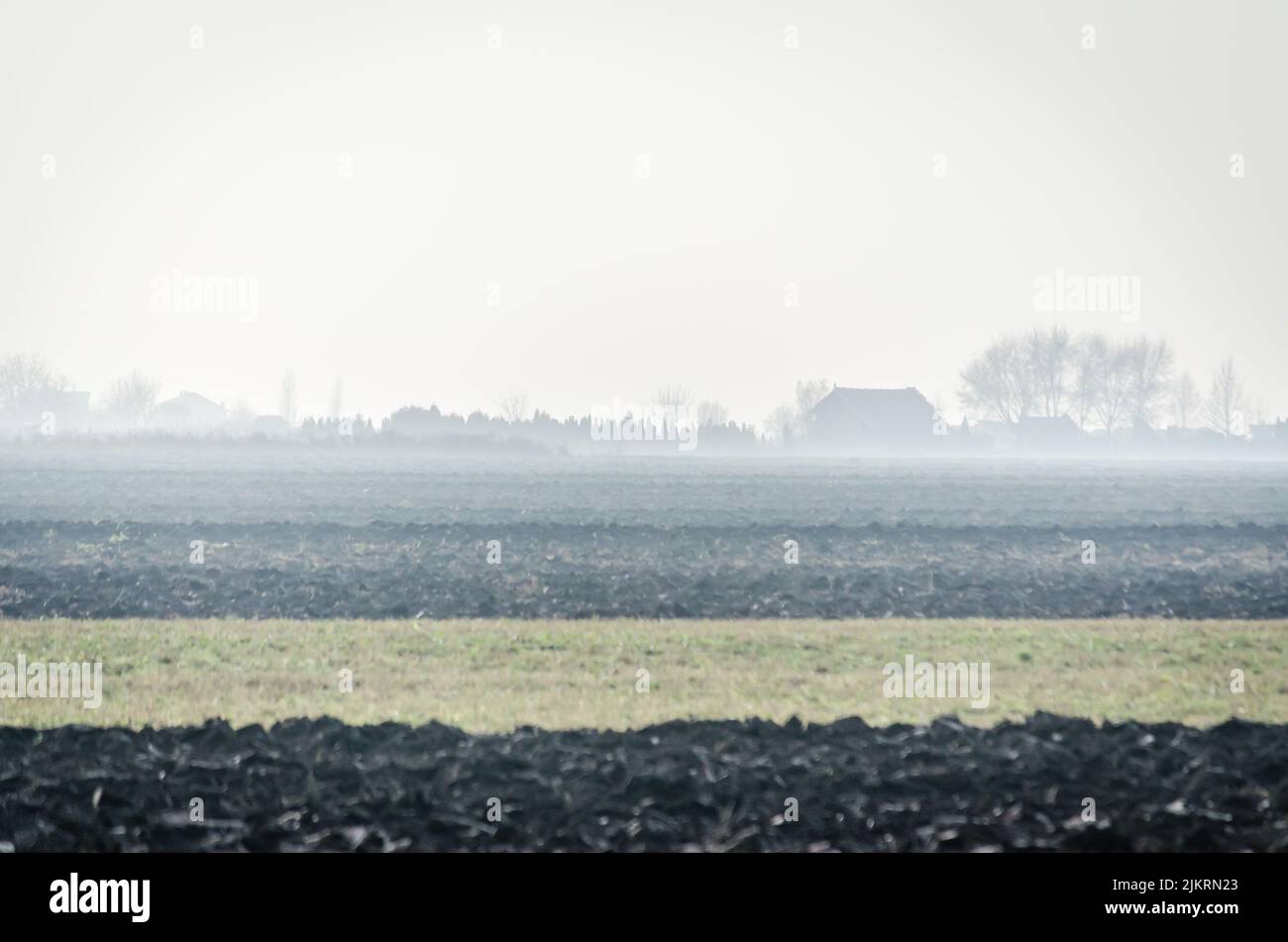 Terreni coltivabili e colture invernali in Serbia sullo sfondo della fattoria. Foto Stock