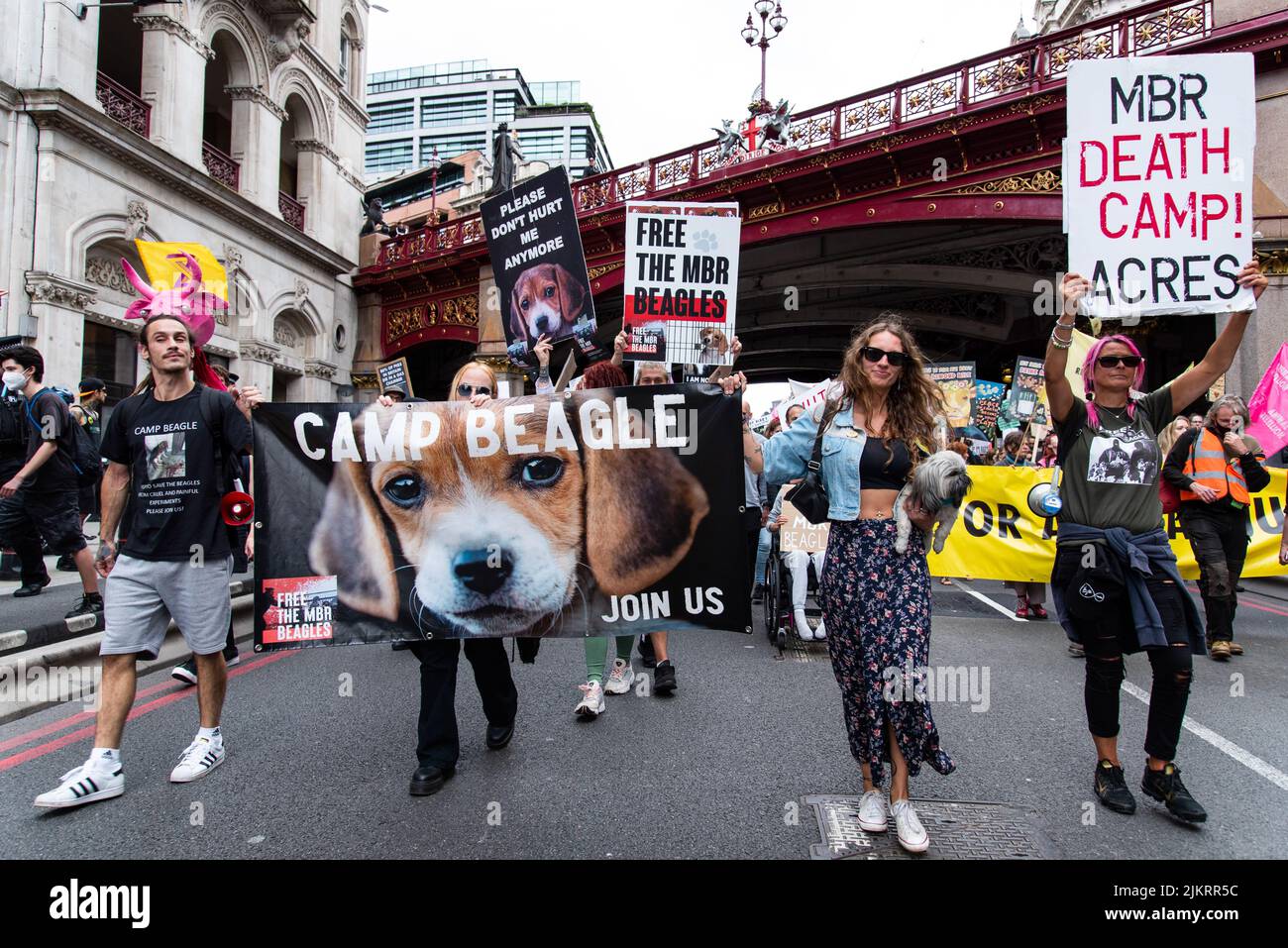 Camp Beagle protestori con cartello dicendo MBR Acres Death Camp, Animal rights marzo Londra 2021 Foto Stock