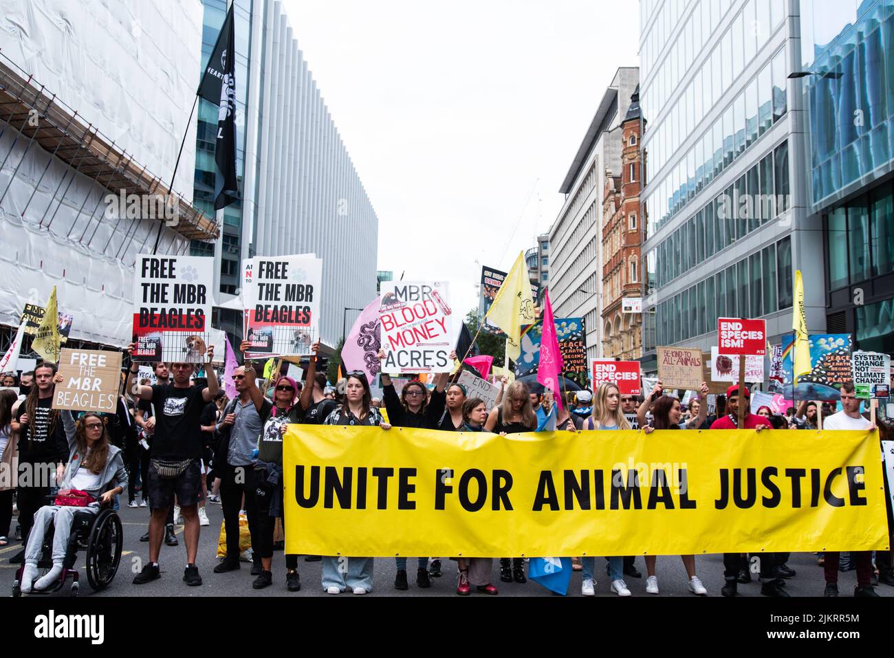 I diritti degli animali marzo protestanti con grande bandiera gialla dicendo Unite per la giustizia degli animali, Londra 2021 Foto Stock