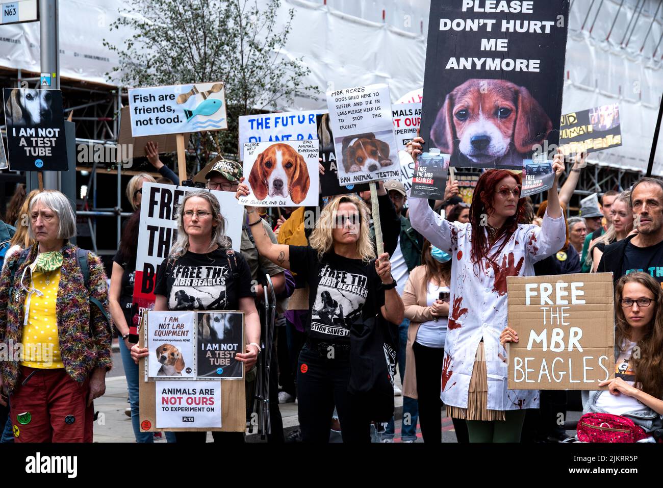 Camp Beagle manifestanti a Londra in possesso di segni che dicono libero le aquile MBR ai diritti degli animali marzo 2021 Foto Stock