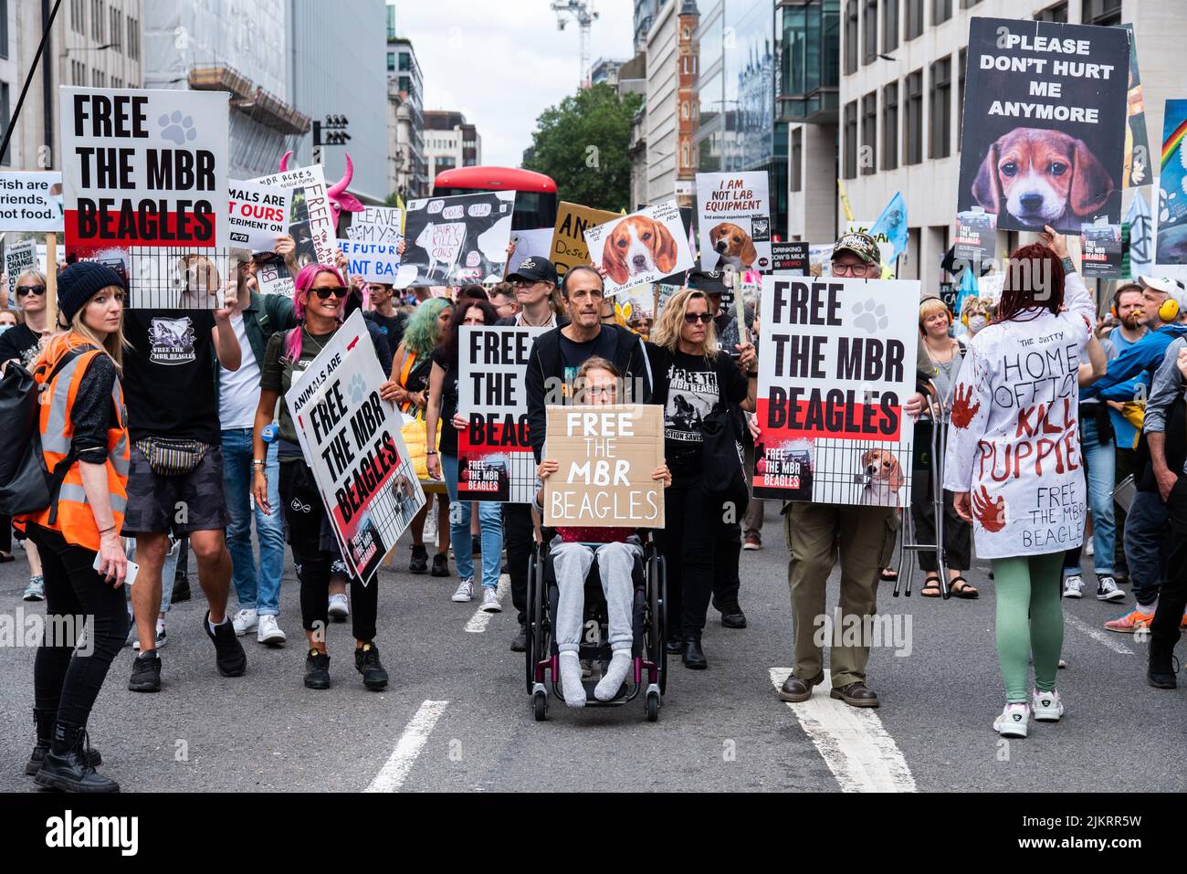 Camp Beagle manifestanti a Londra in possesso di segni che dicono libero le aquile MBR ai diritti degli animali marzo 2021 Foto Stock